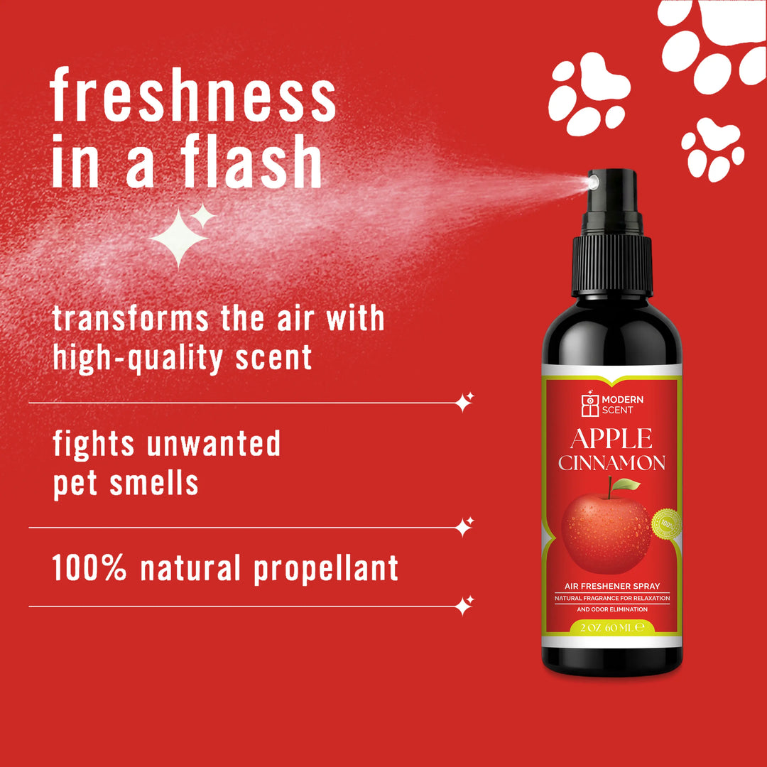 Apple Cinnamon Air Freshener