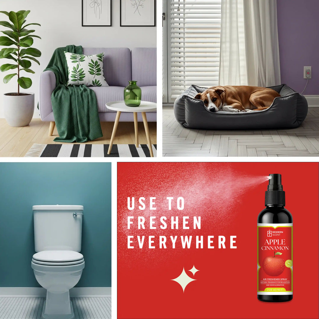 Apple Cinnamon Air Freshener