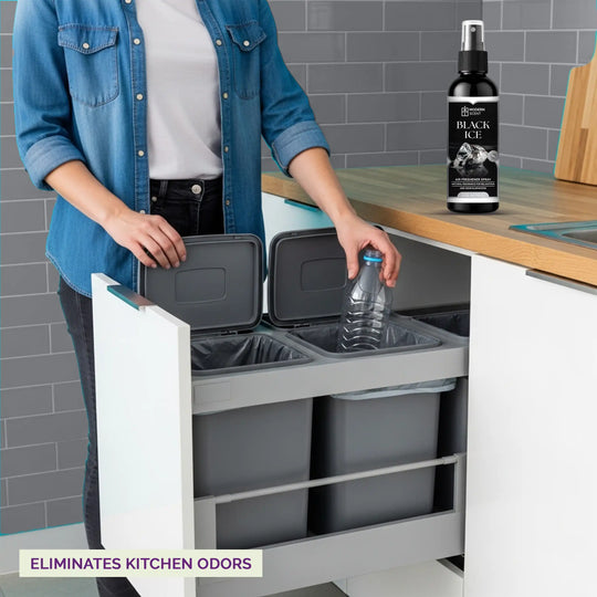 Black Ice Air Freshener