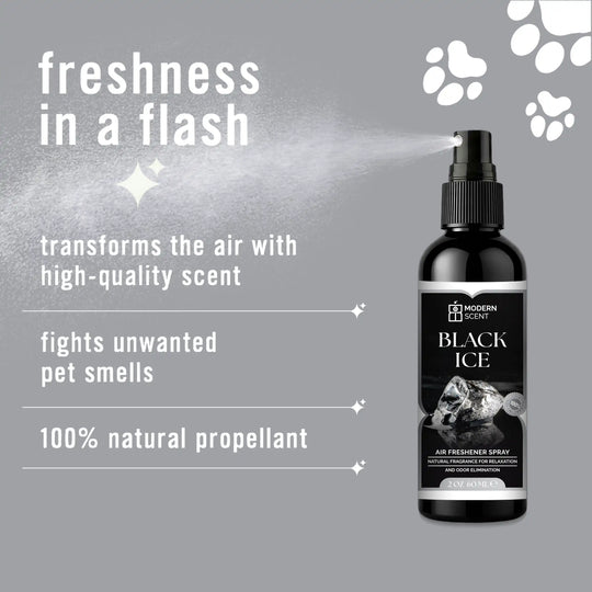 Black Ice Air Freshener