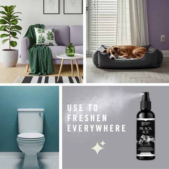 Black Ice Air Freshener