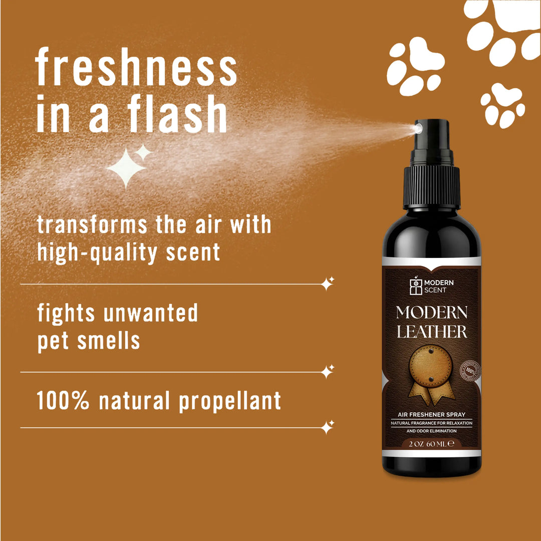 Modern Leather Air Freshener