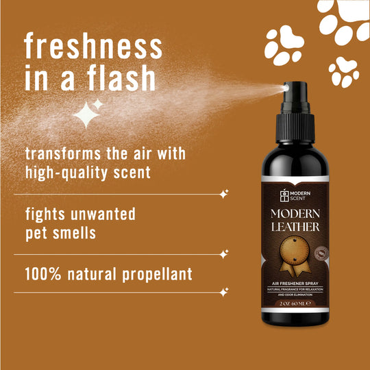 Modern Leather Air Freshener