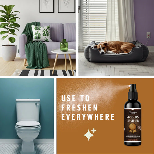 Modern Leather Air Freshener