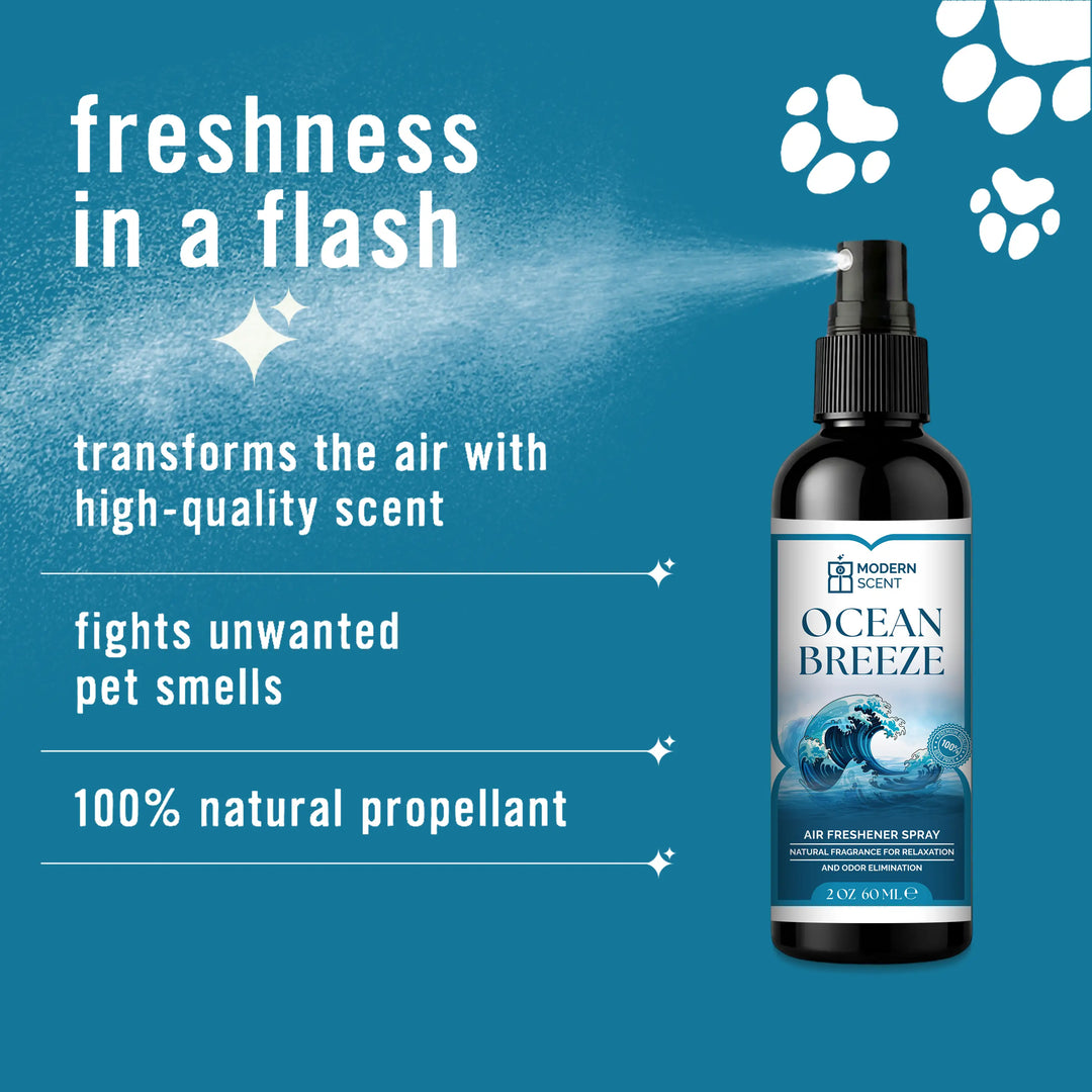 Ocean Breeze Air Freshener