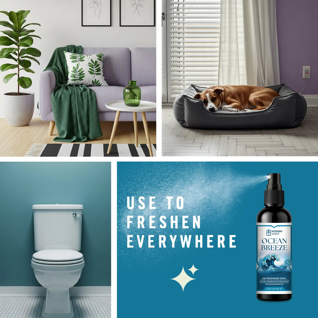 Ocean Breeze Air Freshener