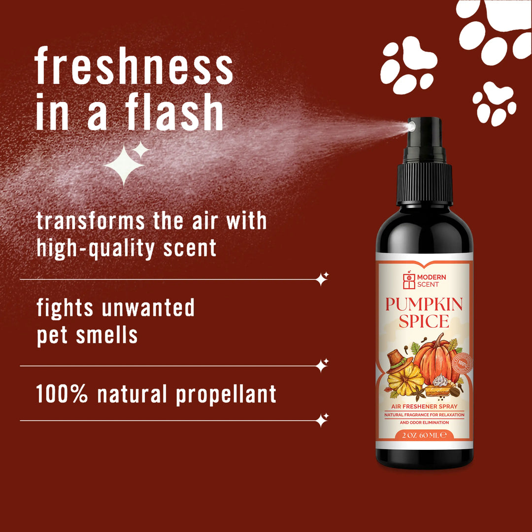 Pumpkin Spice Air Freshener