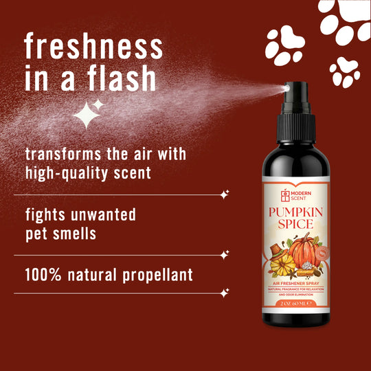 Pumpkin Spice Air Freshener