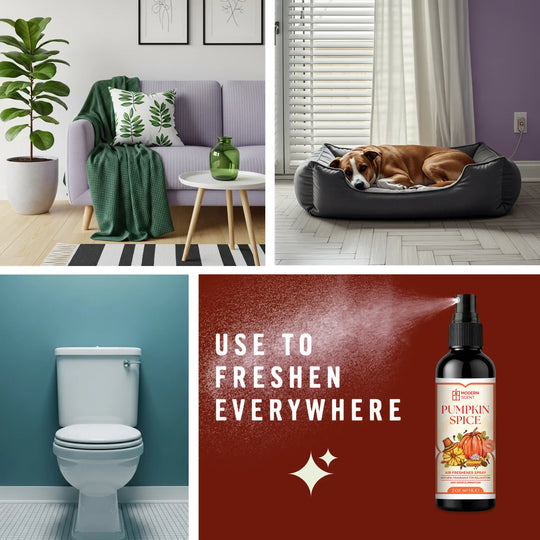 Pumpkin Spice Air Freshener