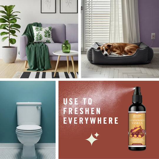 Sandalwood Vanilla Air Freshener