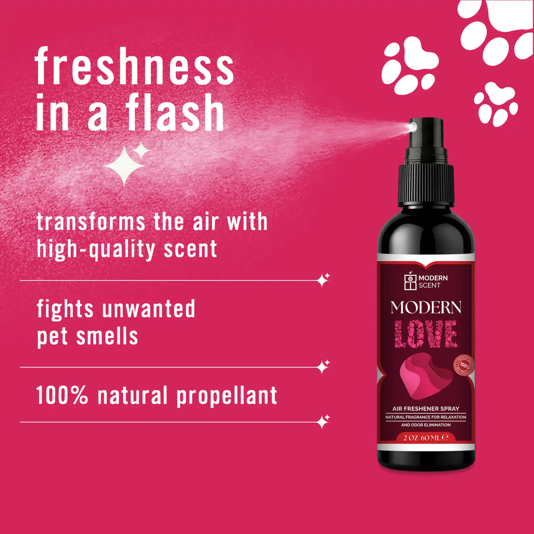 Modern Love Air Freshener