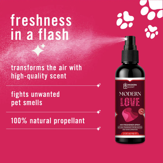 Modern Love Air Freshener