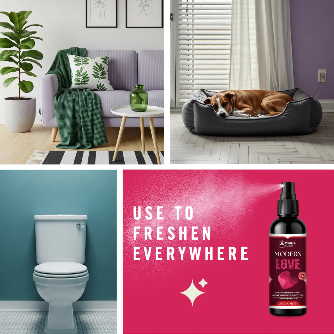 Modern Love Air Freshener