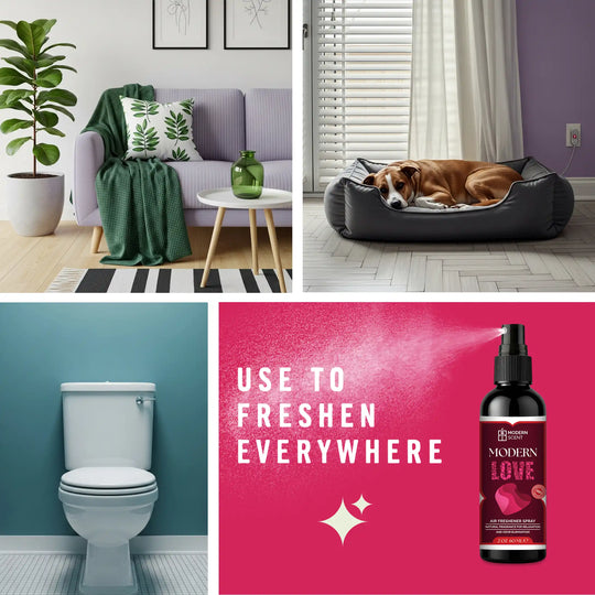 Modern Love Air Freshener