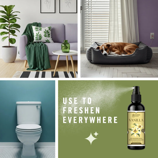 Vanilla Air Freshener